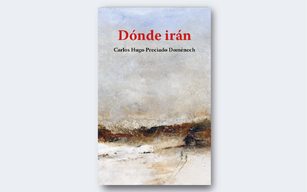 Dónde irán / Carlos Hugo Preciado Domènech